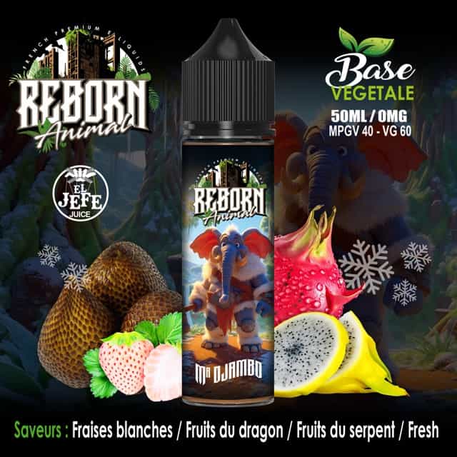 MR DJAMBO – REBORN® FRESH ❄️  50ml - NATURAL VAPE